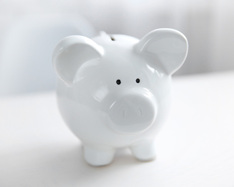 Piggy Bank representing reduced rate therapy in Rochester, NY